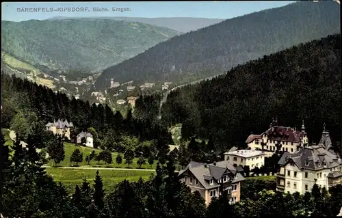 Ak Bärenfels Altenberg im Erzgebirge, Teilansicht