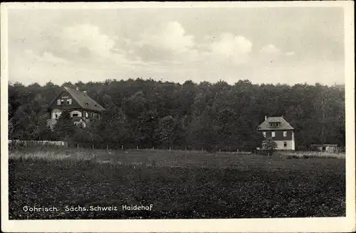 Ak Gohrisch Sächsische Schweiz, Erholungsheim Haidehof