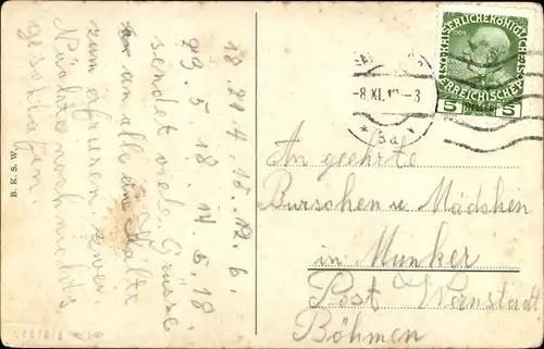 Passepartout Ak Salzburg in Österreich, Totalansicht