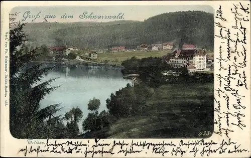 Ak Titisee Neustadt im Breisgau Hochschwarzwald, Teilansicht mit See