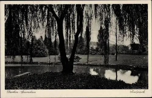 Ak Berlin Spandau, Südpark