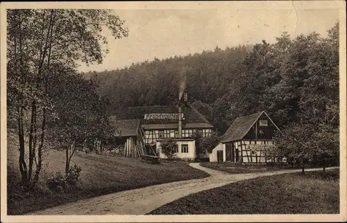 Ak Eisenberg in Thüringen, Gasthof Froschmühle