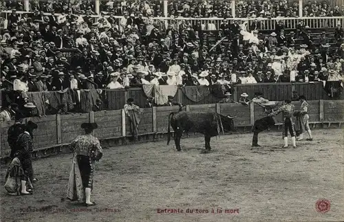 Ak Stierkampfarena, Torero, Matador, Stier, Entrante du tore a la Mort