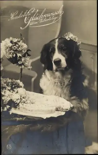 Ak Glückwunsch Geburtstag, Hund wartet auf das Geburtstagskind, Blumenstrauß