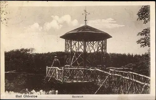 Ak Bad Oldesloe in Schleswig Holstein, Salzteich, Pavillon