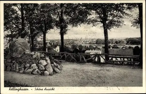 Ak Kellinghusen in Holstein, Schöne Aussicht