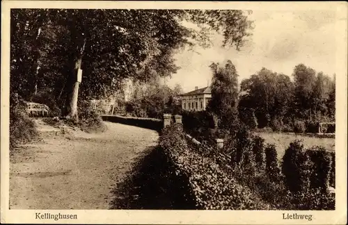 Ak Kellinghusen in Holstein, Liethweg