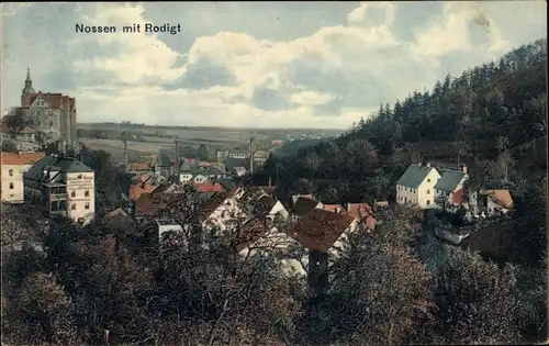 Ak Nossen in Sachsen, Panorama, Rodigt