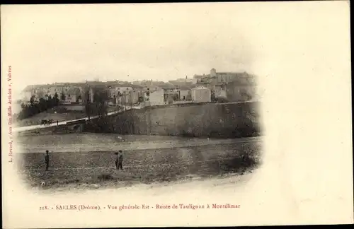 Ak Salles Drome, Vue generale, Route de Taulignan a Montelimar