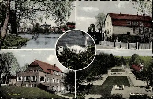 Ak Reinfeld in Holstein, Gartenpartie, Gartenhaus, Rathaus, Kurheim
