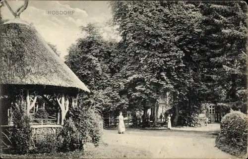 Ak Rosdorf in Schleswig Holstein, Dorfpartie