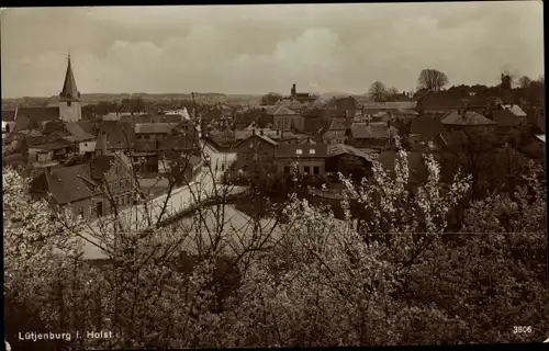 Ak Lütjenburg in Holstein, Panorama