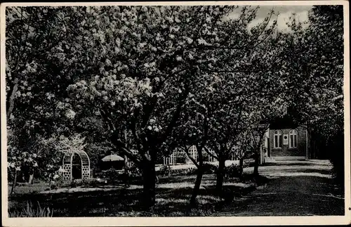 Ak Ahlefeld Bistensee in Schleswig Holstein, Gasthaus Baumgarten