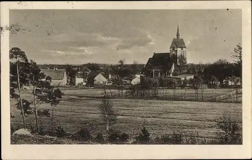 Ak Bispingen in der Lüneburger Heide, Panorama, Kirche