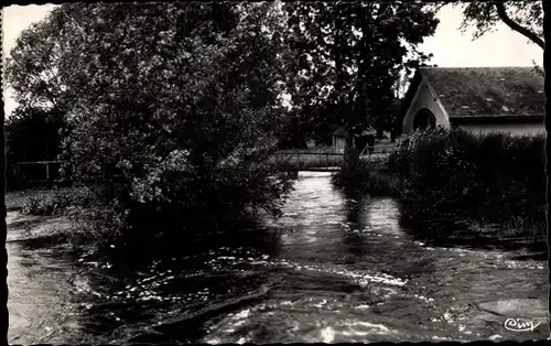 Ak Brezolles Eure et Loir, L'Etang