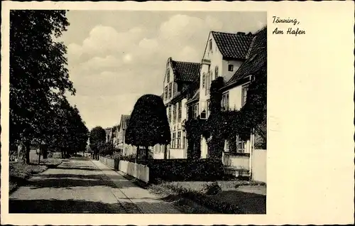 Ak Tönning Schleswig Holstein, Am Hafen