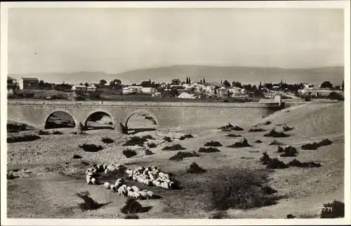 Ak Jericho Palästina, Panorama, Brücke