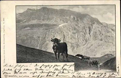 Ak Engelberg Kanton Obwalden Schweiz, Alpenmotiv, Kühe auf der Alm