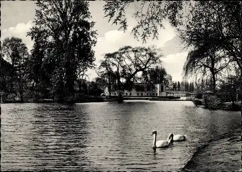 Ak Mönchengladbach im Ruhrgebiet, Wasserpartie, Volksgarten, Schwäne