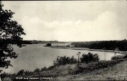 Ak Leezen Schleswig Holstein, Landschaft