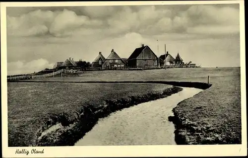 Ak Hallig Oland Nordfriesland, Warft