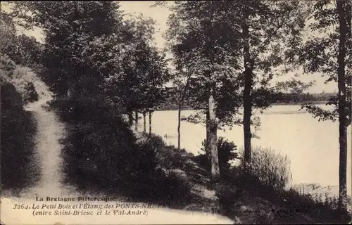 Ak Les Ponts Neufs Côtes-d’Armor, Le Petit Bois et l'Etang des Ponts Neufs