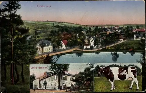 Ak Kuhschnappel Sankt Egidien in Sachsen, Lahls Gasthof, Panorama, Kuh