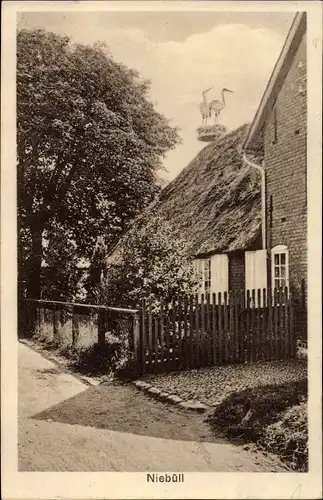 Ak Niebüll in Nordfriesland, Haus mit Reetdach, Störche