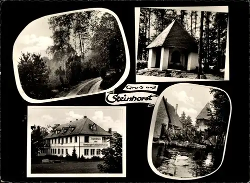 Ak Steinhorst Celle, Waldpartie, See, Schwäne, Jugendheim, Kapelle