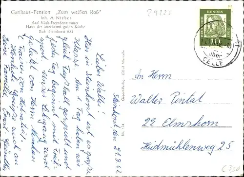 Ak Steinhorst Celle, Waldpartie, See, Schwäne, Jugendheim, Kapelle