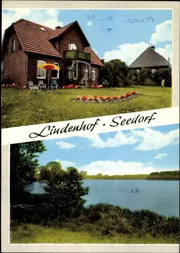 Ak Seedorf Mölln, Gasthaus Lindenhof, Seeblick