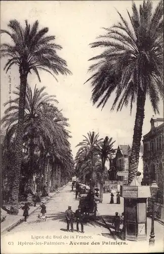 Ak Hyères les Palmiers Var, Avenue des Palmiers