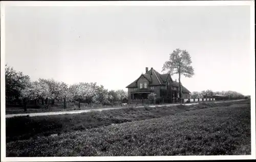 Foto Ak Lüchow in Schleswig Holstein, Obstplantage Dr Groening