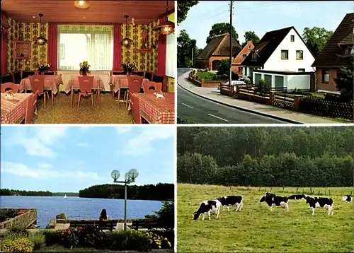 Ak Salem bei Ratzeburg, Kühe auf der Weide, Seeblick, Urlaubsbauernhof, Speisesaal