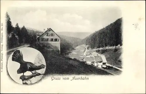 Ak Baiersbronn im Kreis Freudenstadt, Gasthaus Auerhahn