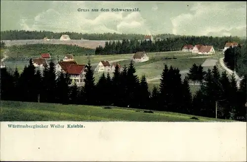 Ak Kniebis Freudenstadt im Nordschwarzwald, Blick auf den Ort