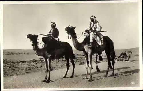 Ak Beduinen, Dromedar, Wüste