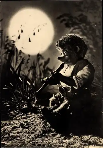 Ak Mecki der Igel, Ein Lied für Dich, Flötenspiel, Mond, Glockenblumen