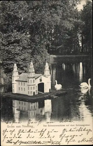 Ak Tönning Schleswig Holstein, Schwanenschloss auf dem Schlossgraben, Schwäne