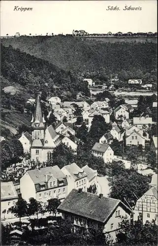 Ak Krippen Bad Schandau Sächsische Schweiz, Blick auf den Ort