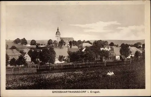 Ak Großhartmannsdorf im Erzgebirge, Panorama