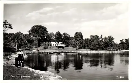 Ak Djursholm Danderyd Schweden, Partie am Wasser