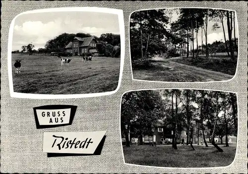 Ak Ristedt Syke Niedersachsen, Waldpartie, Gasthof