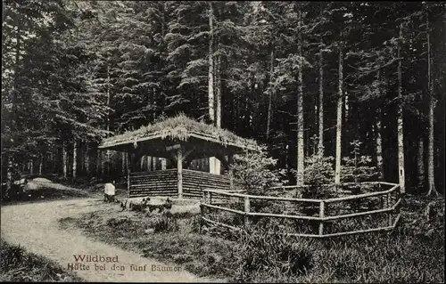 Ak Bad Wildbad im Schwarzwald, Hütte bei den fünf Bäumen