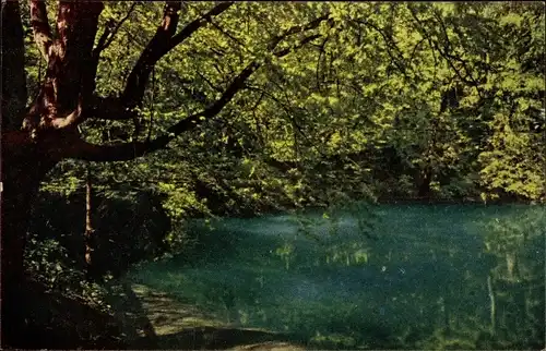 Ak Blaubeuren Baden Württemberg, Partie am Blautopf