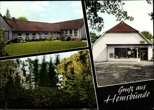 Ak Hemsbünde Kreis Rotenburg, Edeka, Schule, Waldpartie