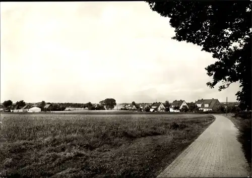 Ak Hoyerhagen in Niedersachsen, Teilansicht, Weg