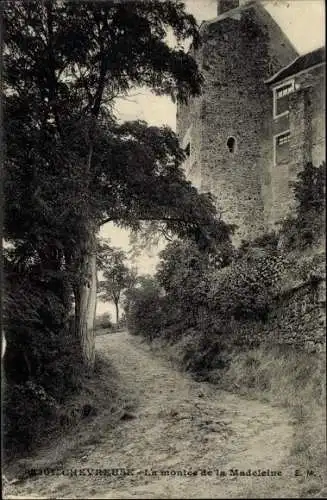 Ak Chevreuse Yvelines, La montee de la Madeleine