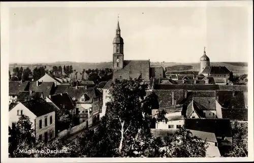 Ak Mügeln Bezirk Leipzig in Nordsachsen, Stadtpanorama, Kirchen