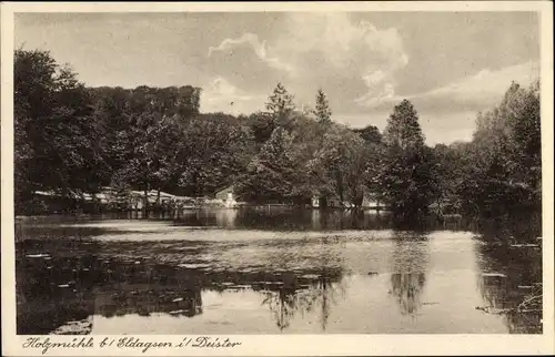 Ak Eldagsen Springe Niedersachsen, Blick auf die Holzmühle am Saupark, Teich